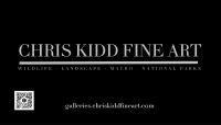 Chris Kidd Fine Art