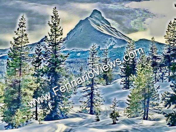 Mt. Washington from Ray Benson sno-park picture