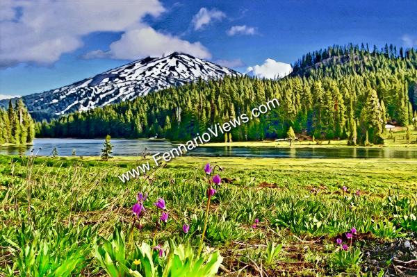 Mt. Bachelor from Todd Lake picture