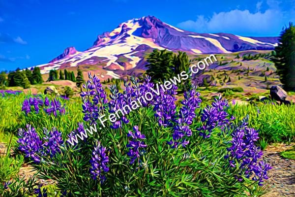 Mt. Hood w/ Lupines picture