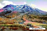 Mount St. Helens, WA