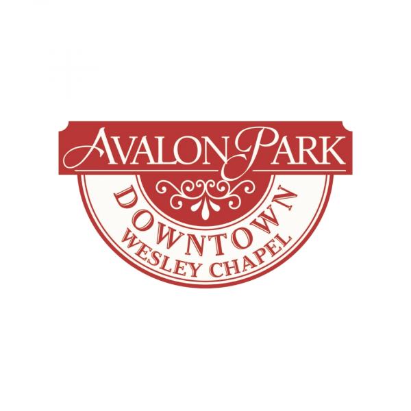 Avalon Park Wesley Chapel