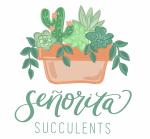 Senorita Succulents
