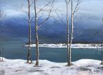 Snow on the Leslie Spit