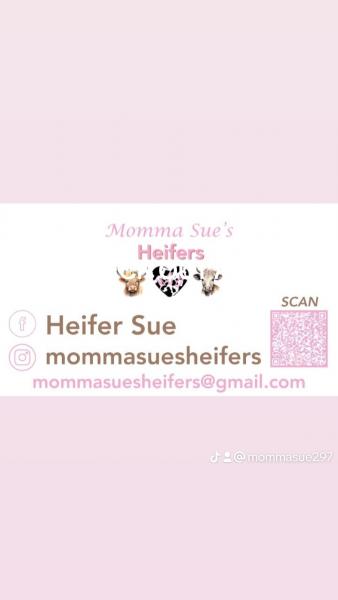 Momma Sue's Heifers,  LLC