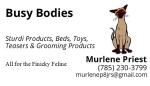 BUSY BODIES LLC