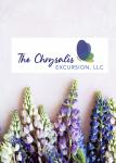 The Chrysalis Excursion LLC
