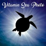 Vitamin Sea Photo