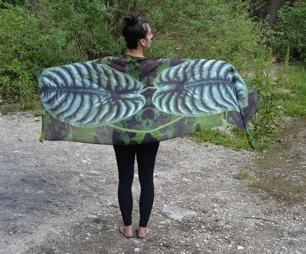 Silver Elephant Ear. Gazelle Shawl picture