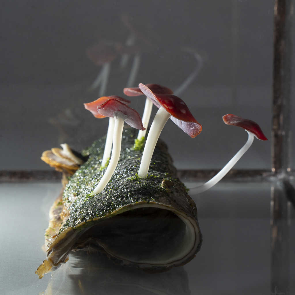 Dancing For A Moment picture