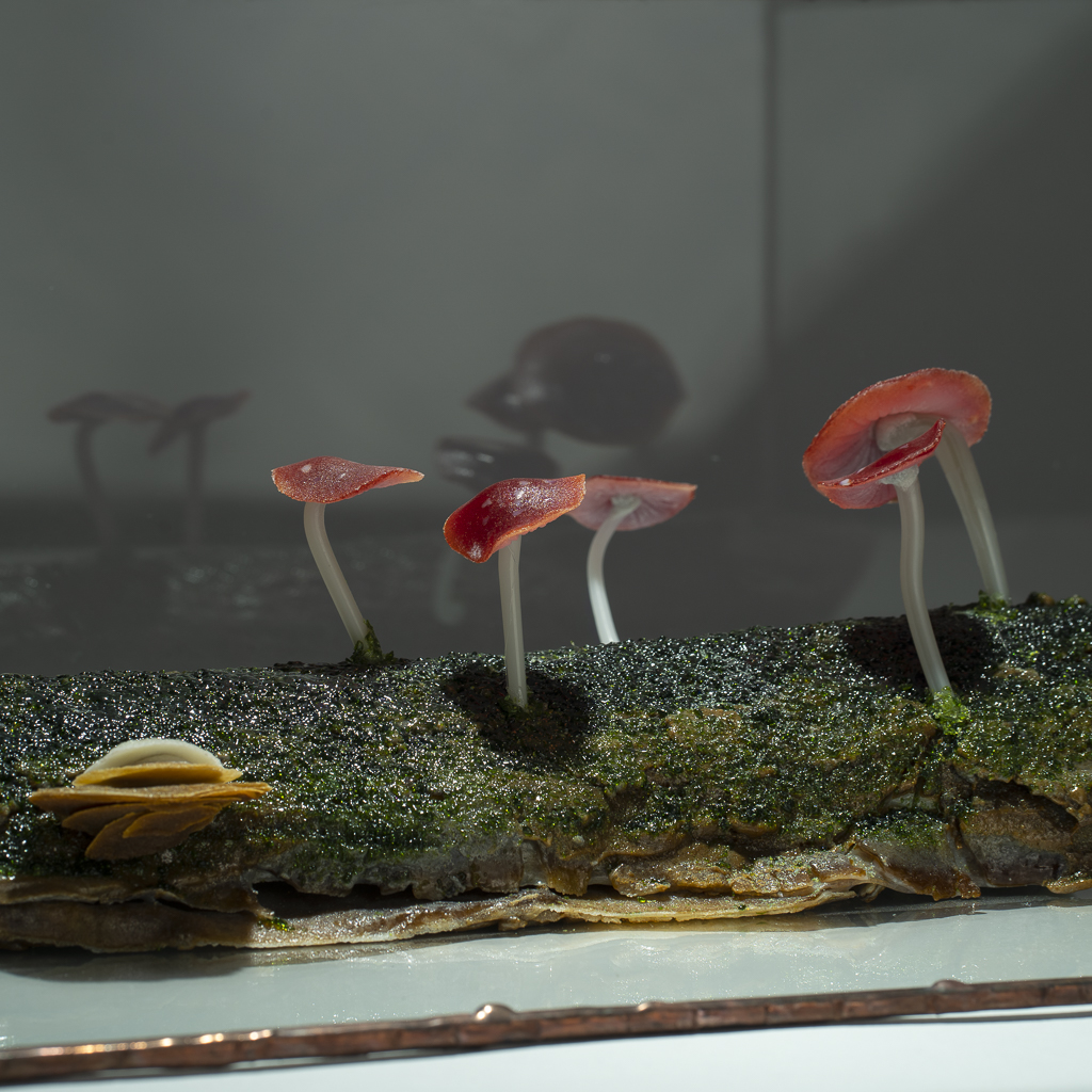 Dancing For A Moment picture