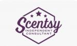 Scentsy Fragrance / Wickless Candles