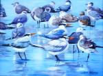 NSBirds