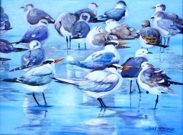 NSBirds