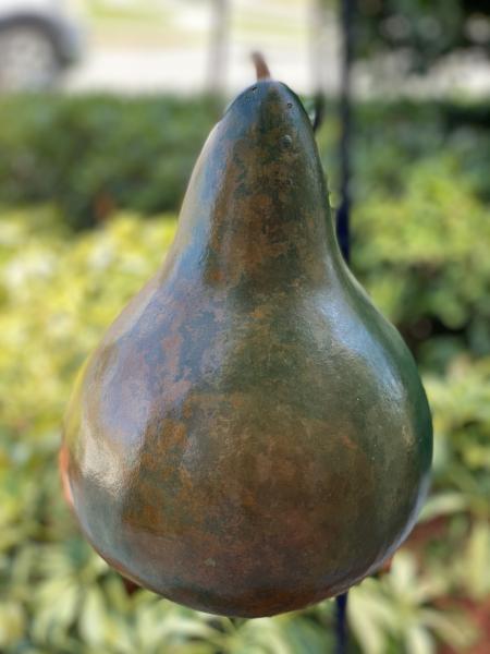 Handcrafted Gourd Birdhouse picture