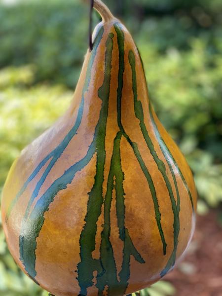 Handcrafted Gourd Birdhouse picture