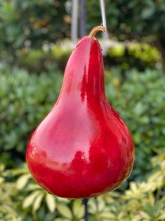 Handcrafted Gourd Birdhouse picture