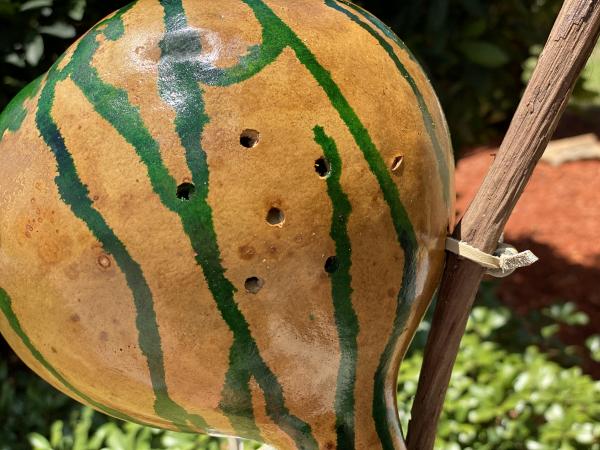 Handcrafted Gourd Birdhouse picture