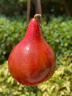 Handcrafted Gourd Birdhouse picture