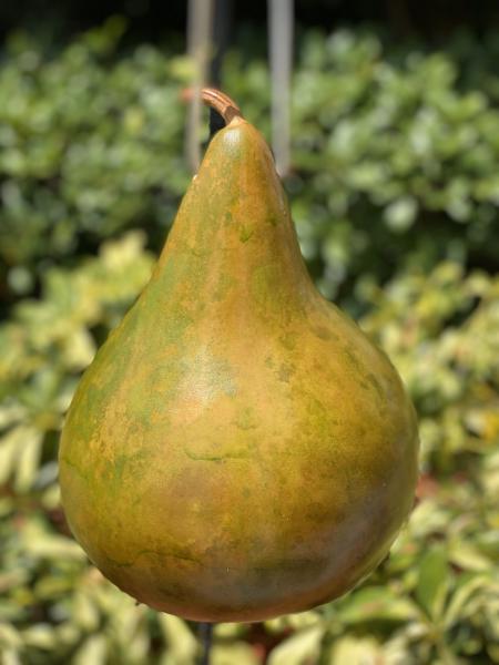 Gourd Birdhouse picture