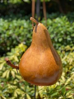 Handcrafted Gourd Birdhouse picture