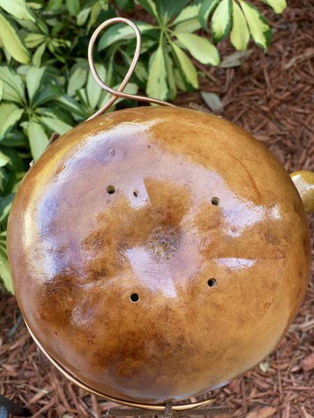 Handcrafted Wire Wrapped Gourd Birdhouse picture