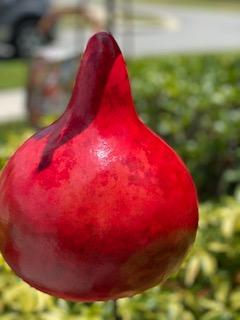 Handcrafted Gourd Birdhouse picture