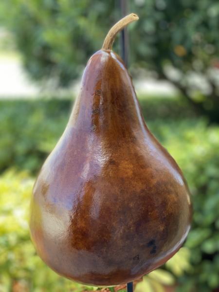 Handcrafted Gourd Birdhouse picture