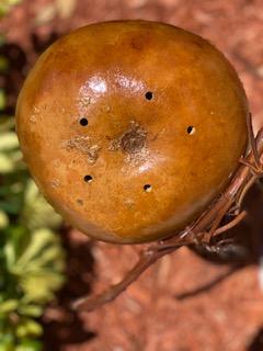 Handcrafted Gourd Birdhouse picture