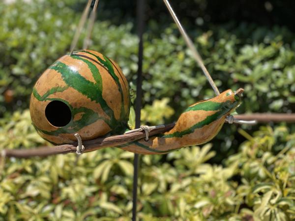 Handcrafted Gourd Birdhouse picture