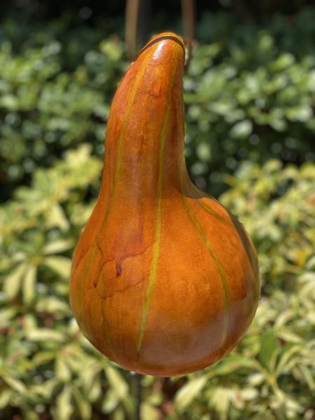 Gourd Birdhouse picture
