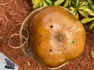 Handcrafted Wire Wrapped Gourd Birdhouse picture