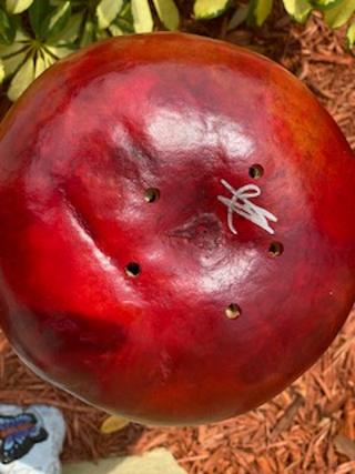 Handcrafted Gourd Birdhouse picture