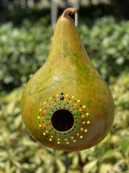 Gourd Birdhouse picture