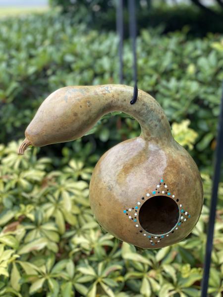 Swan Gourd Birdhouse picture