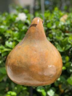 Handcrafted Gourd Birdhouse picture