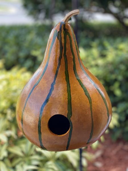 Handcrafted Gourd Birdhouse picture