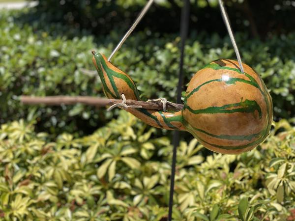 Handcrafted Gourd Birdhouse picture