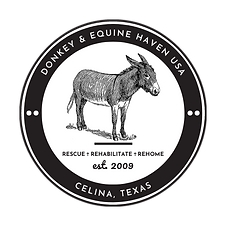 Donkey and Equine Haven USA