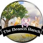 The Branch Ranch