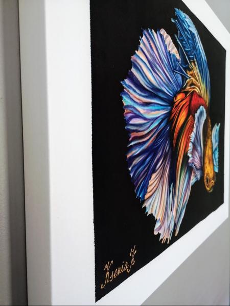 Silk painting Betta fish picture