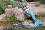 The Sonoran Mermaid