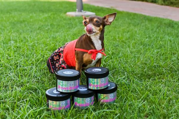 Pure Pawsitivity Superfood Powder for Pets