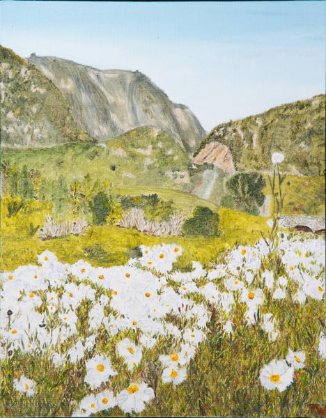 "Matilija Poppies"