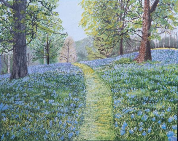 "Bluebells" picture