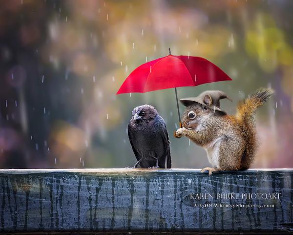 Friends in the Rain