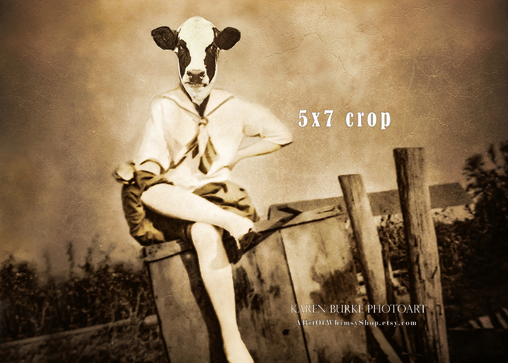 Vintage Pin Up Girl picture