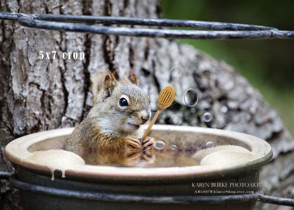 Bubble Bath Baby Squirrel picture