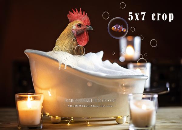 Bubble Bath Rooster picture