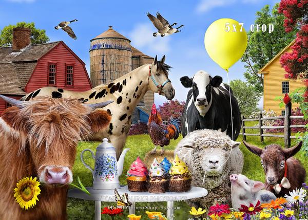 Farm Party picture